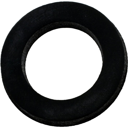 Gasket, Pentair MPV, Sight Glass, 5/8"ID, 1"OD