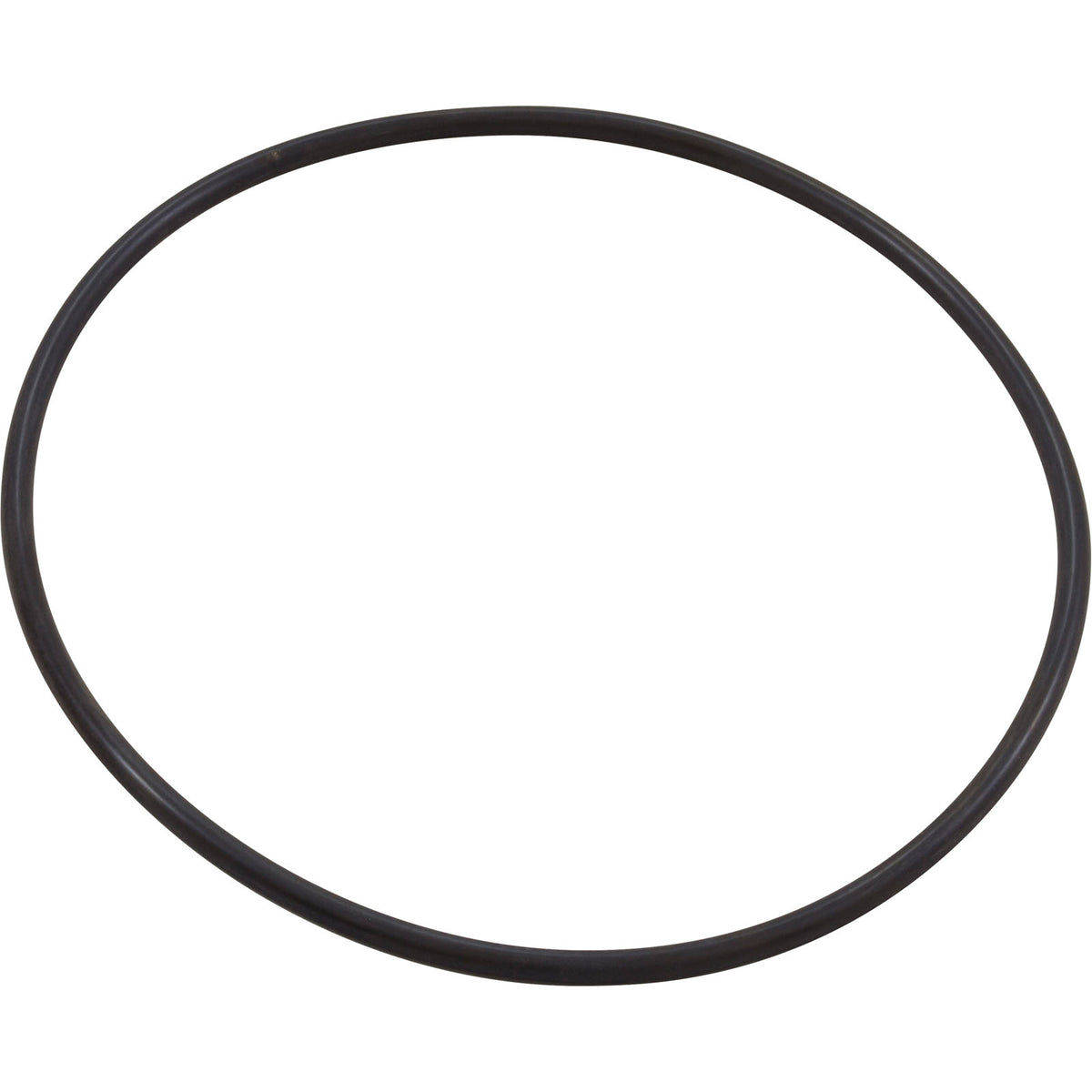 Seal Plate O-Ring, Pentair IntelliFloXF/IntelliProXF