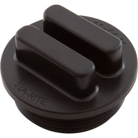 Drain Plug w/O-Ring, Pentair Sta-Rite System 3, 1-1/2"mpt
