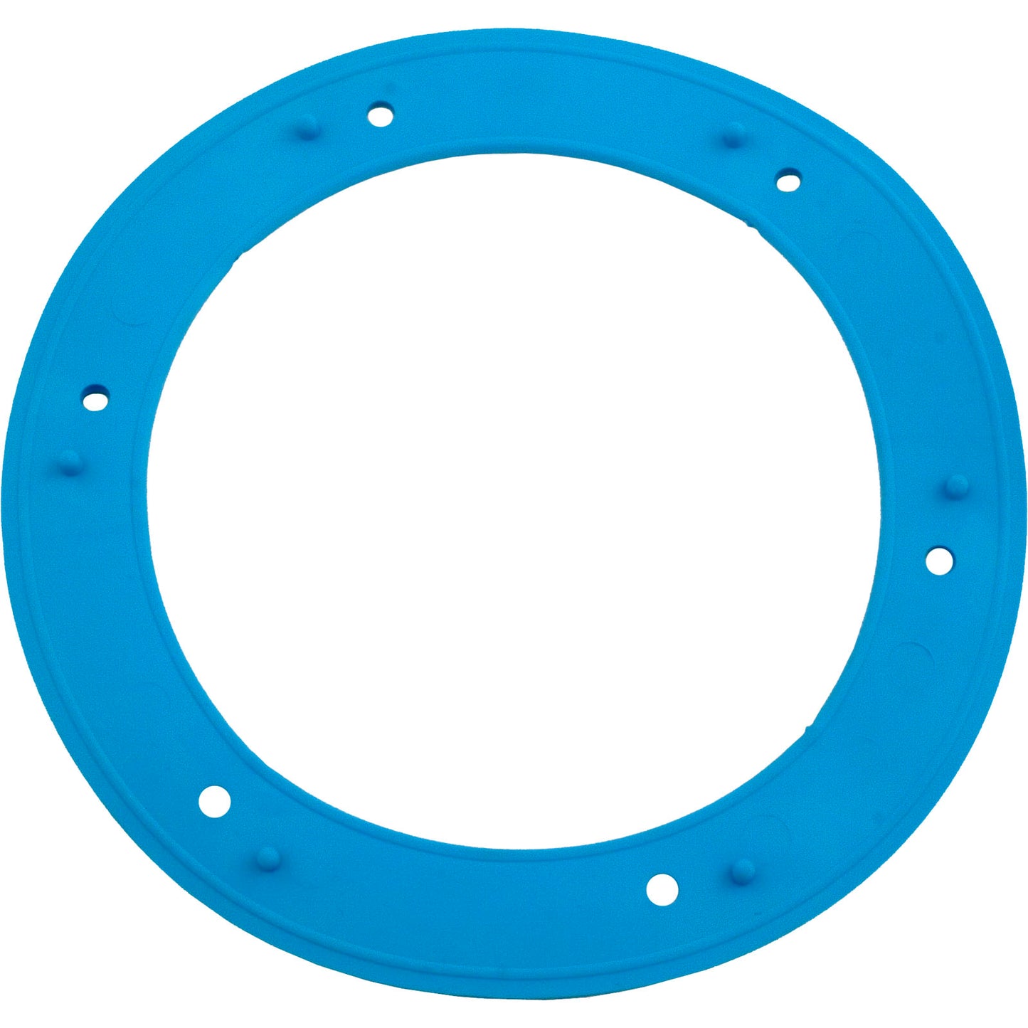Gasket, Pentair, Small Niche, Vinyl