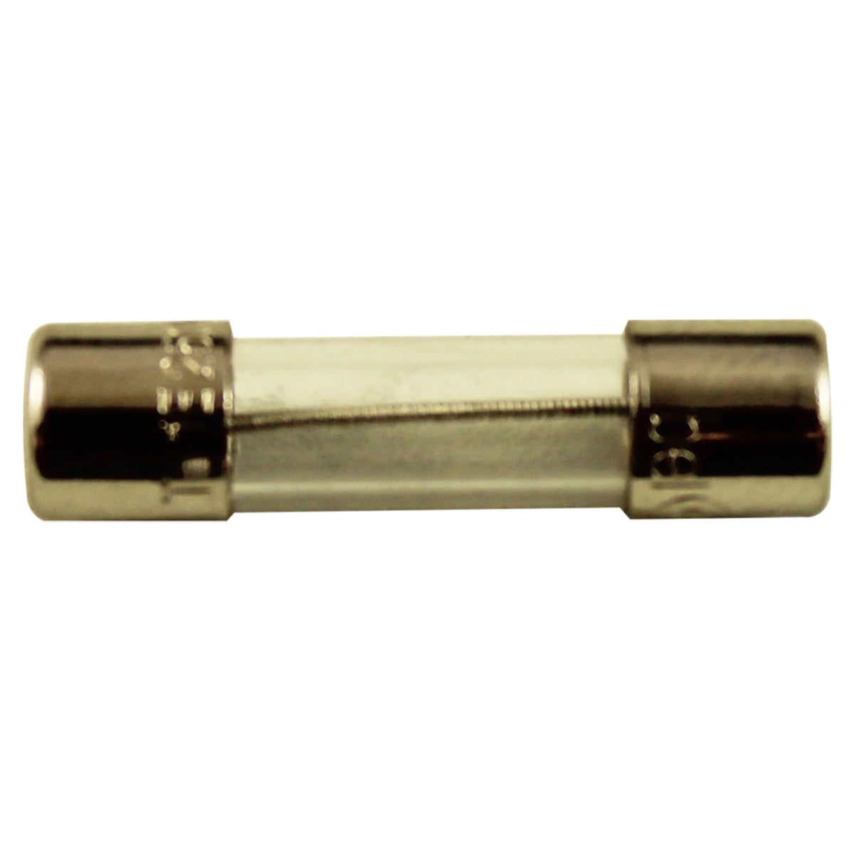 Fuse, Slow Blow, Balboa Water Group, 1A, 250VAC, 5MM x 20MM