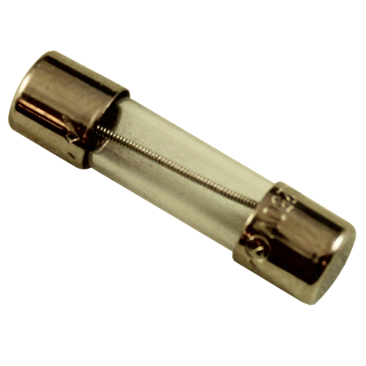 Fuse, Slow Blow, Balboa Water Group, 1A, 250VAC, 5MM x 20MM