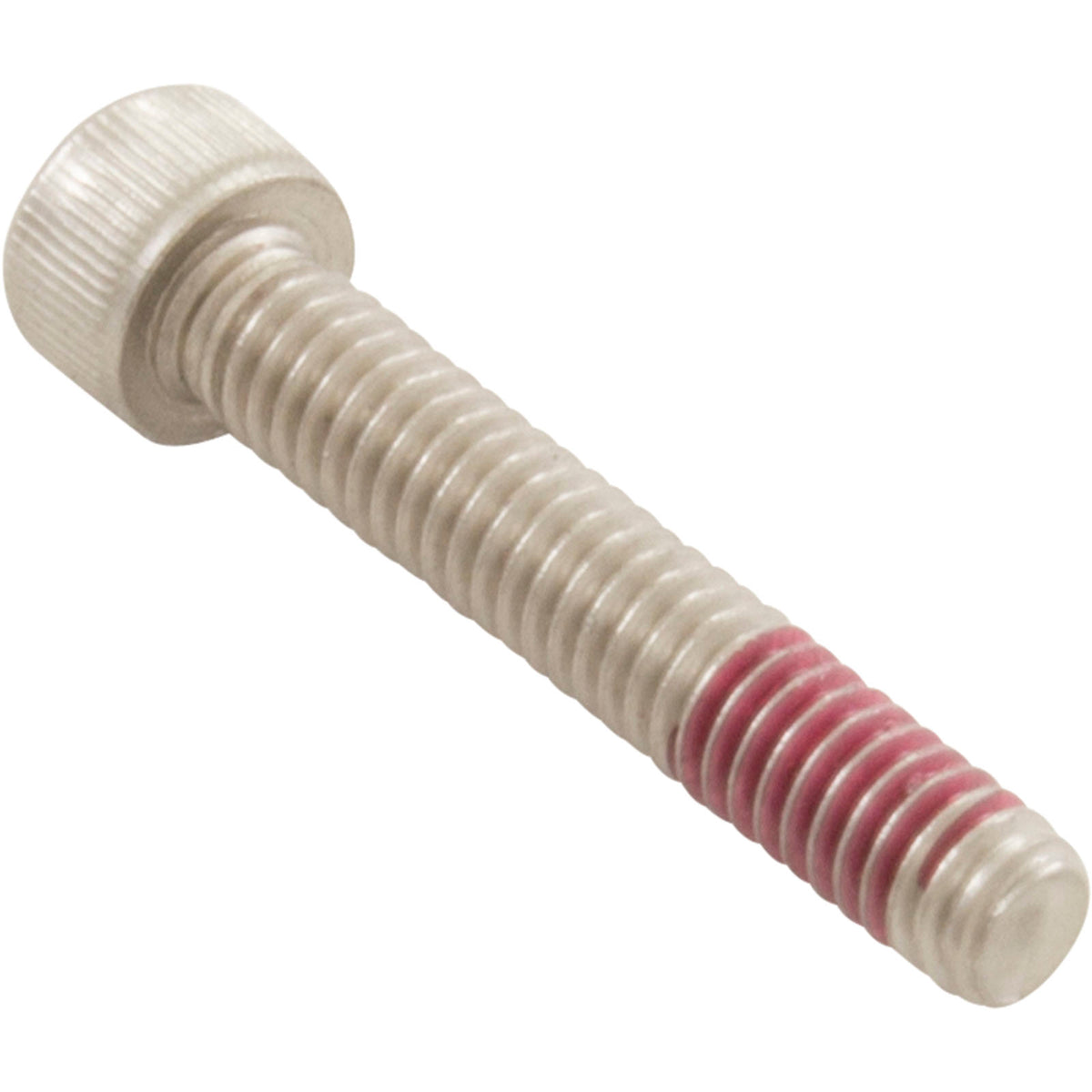 Diffuser Screw, Pentair IntelliFlo XF, 8-32 x 1”