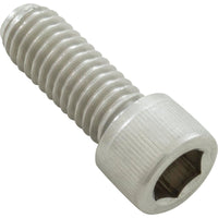 Screw, Pentair EQ Series Impeller, Sckt Hd, 3/8"-18 x 1", SS