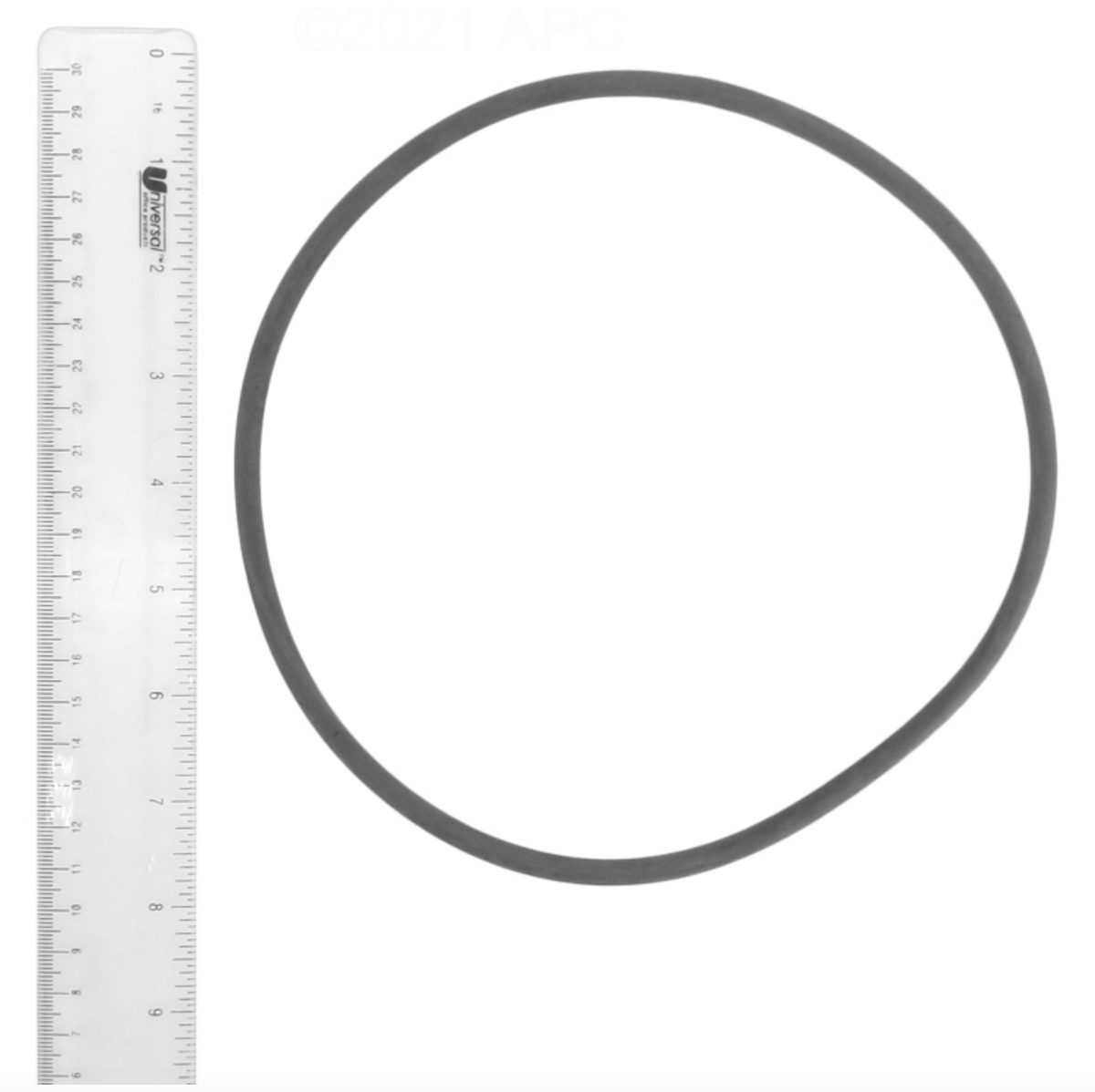 O-Ring for Astral Cantabric Filter Lid