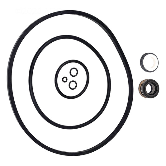 Max-E-Pro & IntelliPro Pump Quick-Kit, 356196