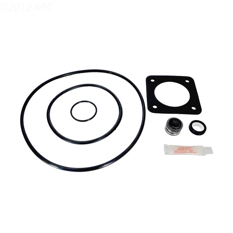 Sta-Rite Dura-Glas / Maxi-Glas (1998 to Present) Pump Repair Kit (APCK1051)