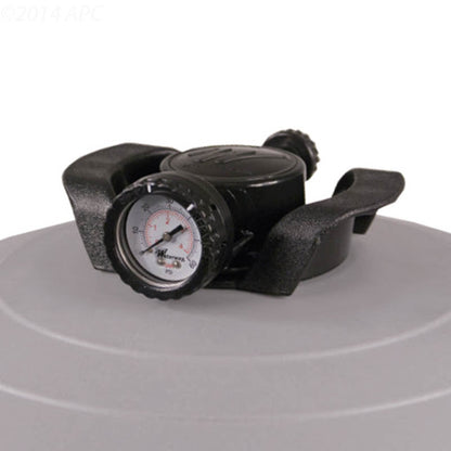 525 Sq Ft Crystal Water Cartridge Filter, Waterway, 570-0525-07