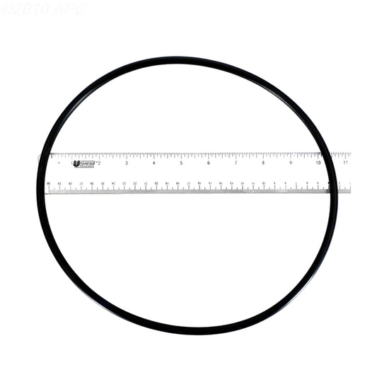 American Ultra Flo Volute O-Ring, 39006000Z