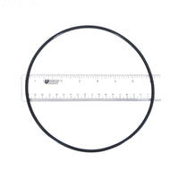 2" O-Ring for HiFlow Top and Side Mount MultiPort Valve 271151Z