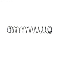 Spring, Pentair 90deg Spring Check Valve, 3lb, SS 072524Z