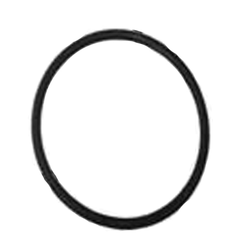 Chlorine Feeder O-Ring, 15-472-B