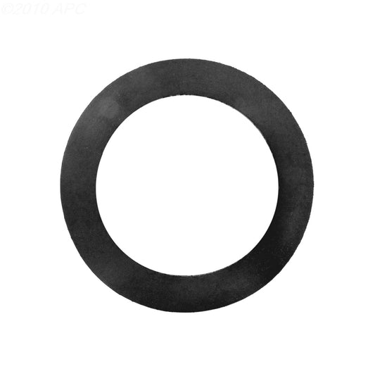 Pentair Wall Fitting Gasket, 552406Z