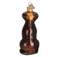 Chocolate Labrador Ornament