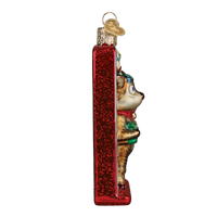 Reindeer Mugshot Ornament