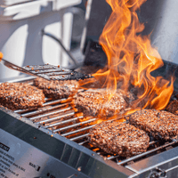 13742 | Stainless Tabletop Propane Gas Grill