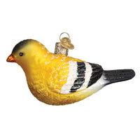 Hanging American Goldfinch