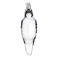 Hanging Hairy Woodpecker