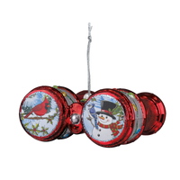Bird Binoculars Ornament