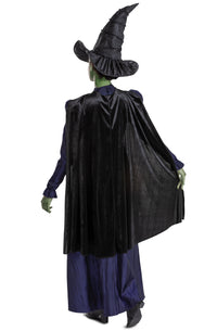 Elphaba Deluxe Wicked Women's Costume Adult Officially Licensed