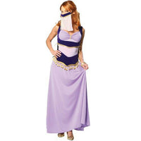 Cinema Secrets Sexy Jasmine Purple Harem Dancer Adult Costume