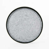 Silver Mehron Paradise Professional Cake Makeup Face Paint AQ 1.4oz