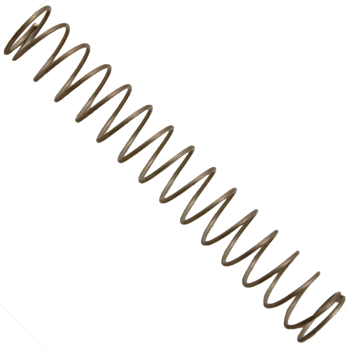 Spring, Pentair 90deg Spring Check Valve, 3lb, SS 072524Z