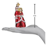 Dreaming Of Snowfall Ornament