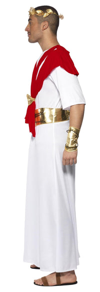Romulus the King Adult Toga Roman Costume Large