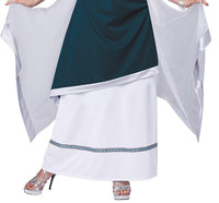 California Costumes Women's Roman Beauty Goddess Queen Long Dress Size Small 6-8