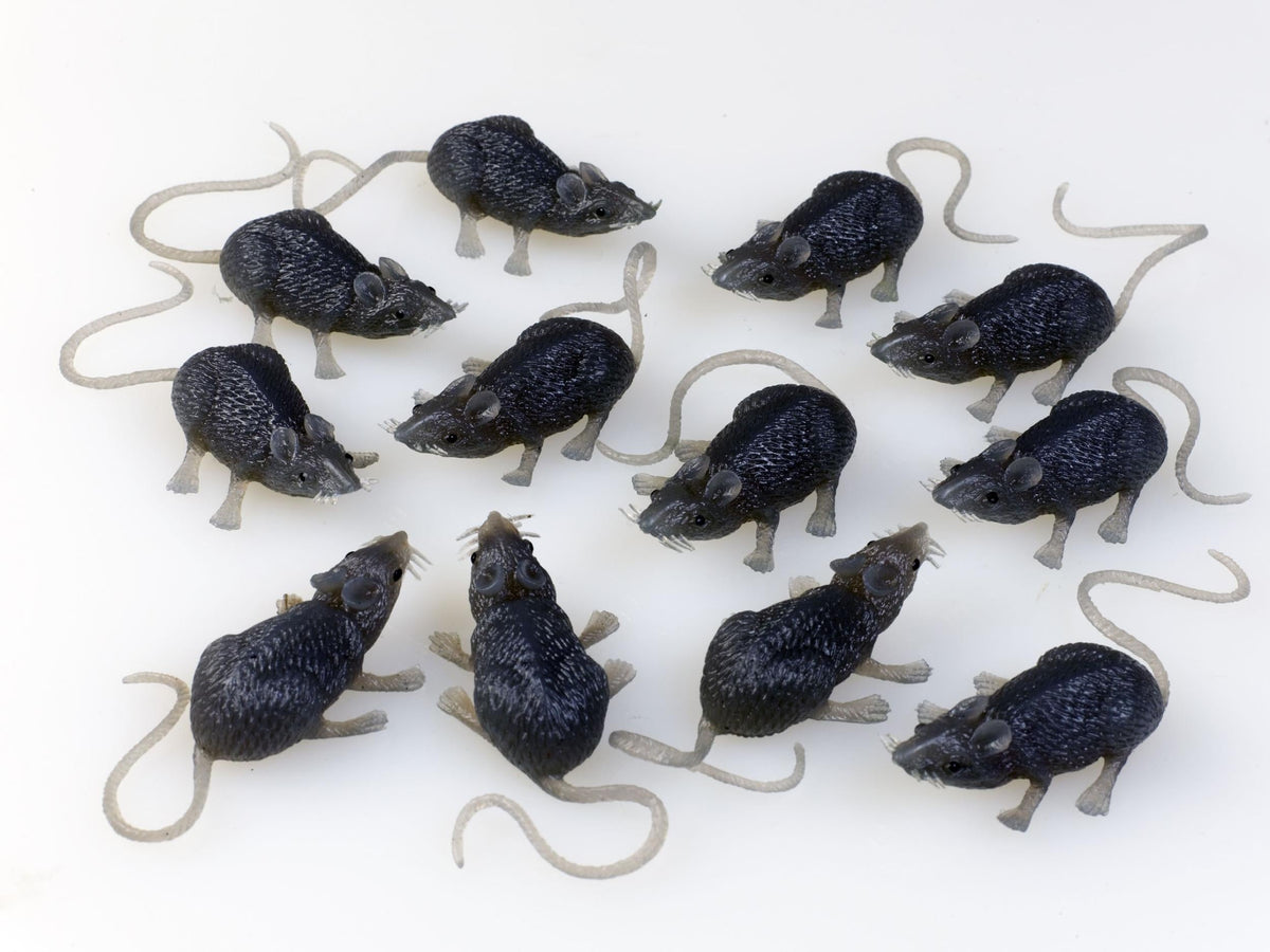 FunWorld Creepy Gray Rubber Mouse Prank Rat Lot - Mice Lot of 12 MICE