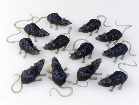 FunWorld Creepy Gray Rubber Mouse Prank Rat Lot - Mice Lot of 12 MICE