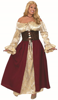 Medieval Pirate Wench Adult Plus Size Costume