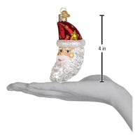 Santa Moon Face Ornament