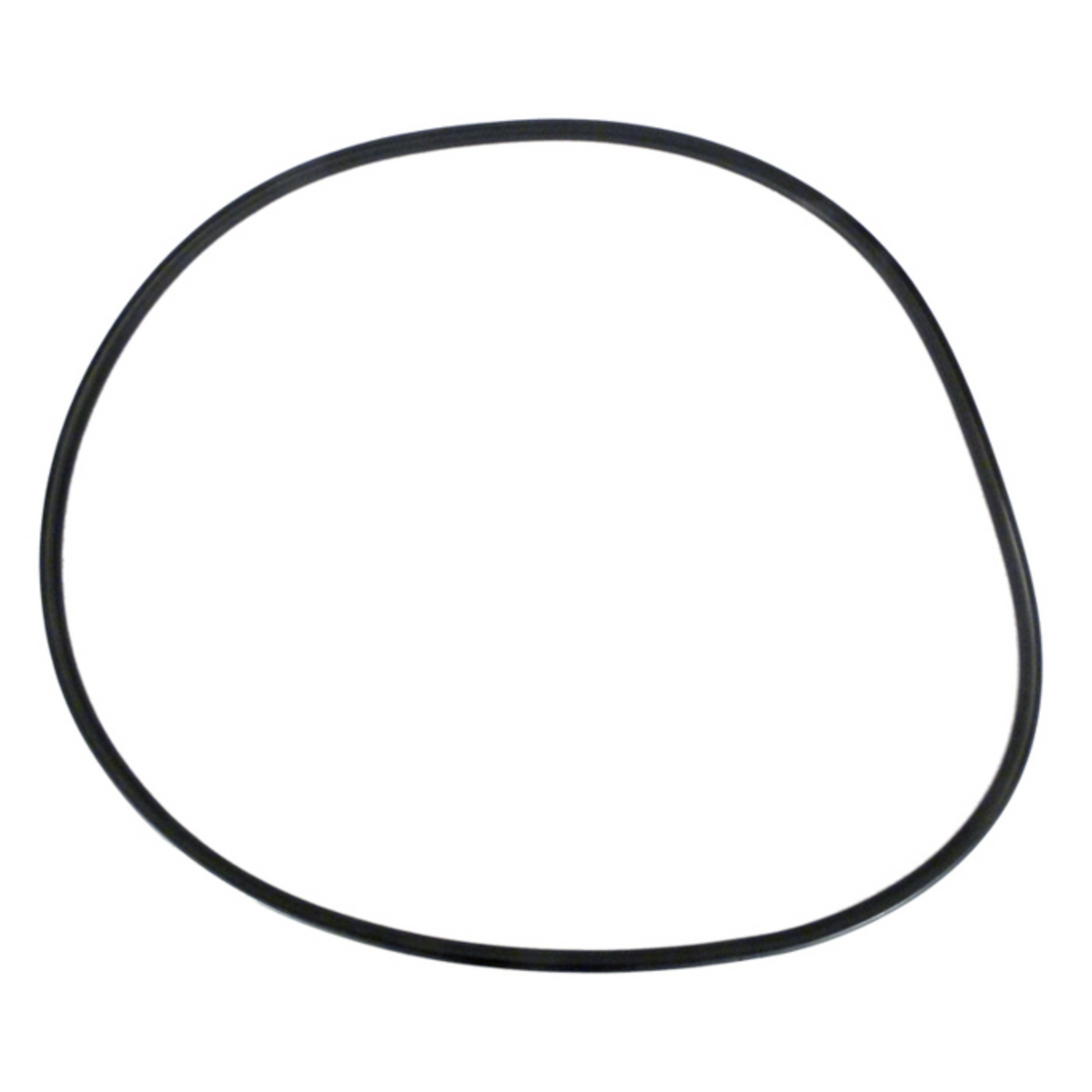 Jacuzzi 47056999R TC/EW Filter Tank O-Ring, 20-3/8 in ID (O-101)