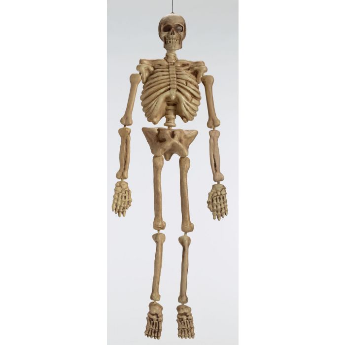 5 Foot Full Size Skeleton Prop Halloween Decoration Plastic