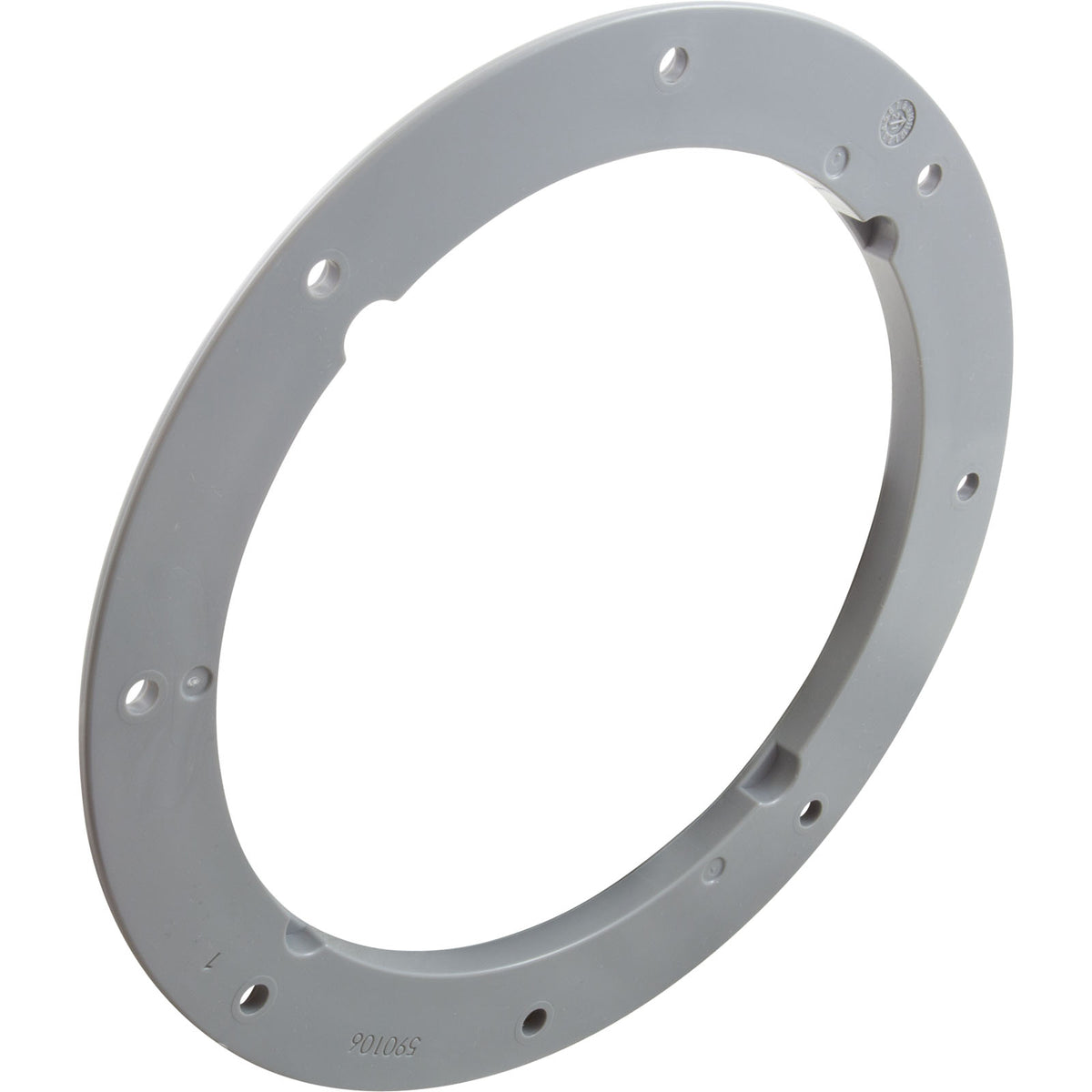 Pentair ColorVision Bubbler Vinyl/Fiberglass Lock Ring, Gray, view 2
