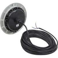 PAL 2Wire Lrg Nch Evenglow CW Pool Lt, 80ft, 12VAC/12VDC/24VDC