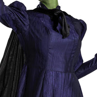 Elphaba Deluxe Witch Classic Wicked Costume for Women Large 12-14