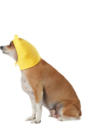 Winnie the Pooh: Pet Costume Headpiece Pooh Bear