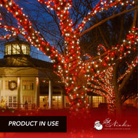 LED Mini Lights 5MM Red/Cool White Twinkle Green Wire - 6" Spacing