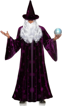Purple Wizard Midnight Mystic Fantasy Magic Sorcerer Men's Costume