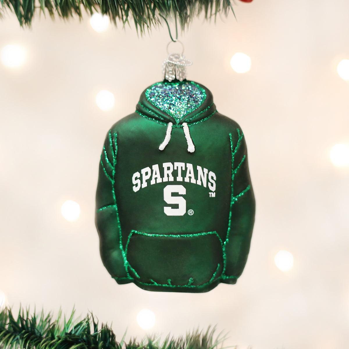 Michigan State Hoodie