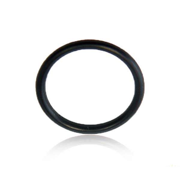 Polaris O-ring for D22/D23