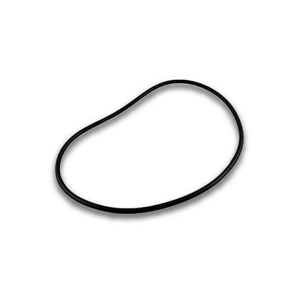Jandy Pro Series Backplate O-ring, FHPM, VS-FHP