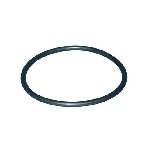 Heater O-Ring, 4" For HT Heaters Series