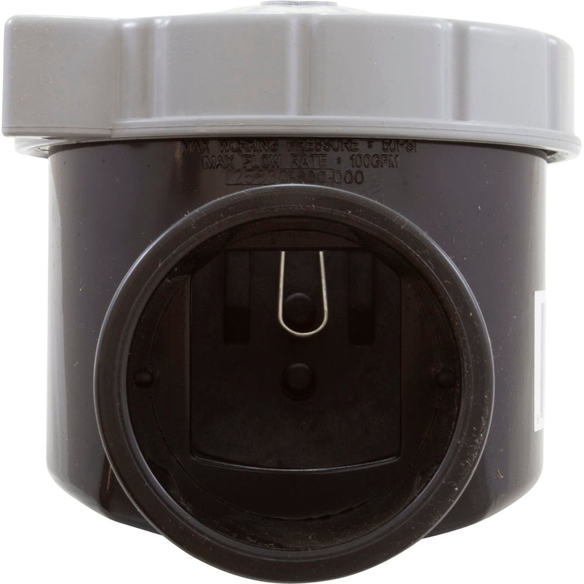 Serviceable Check Valve, 1/4Lb, 2In S X 2.5In Spg