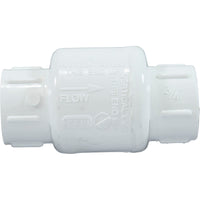 Swing Check Valve, 3/4" S X S