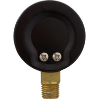 0-60 PSI Pressure Test Gauge, Bottom Mount
