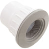 Fiberglass Pool Wallfitting (W/Nut, Gray)